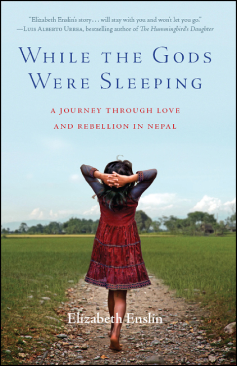 Cover image for book While the Gods Were Sleeping