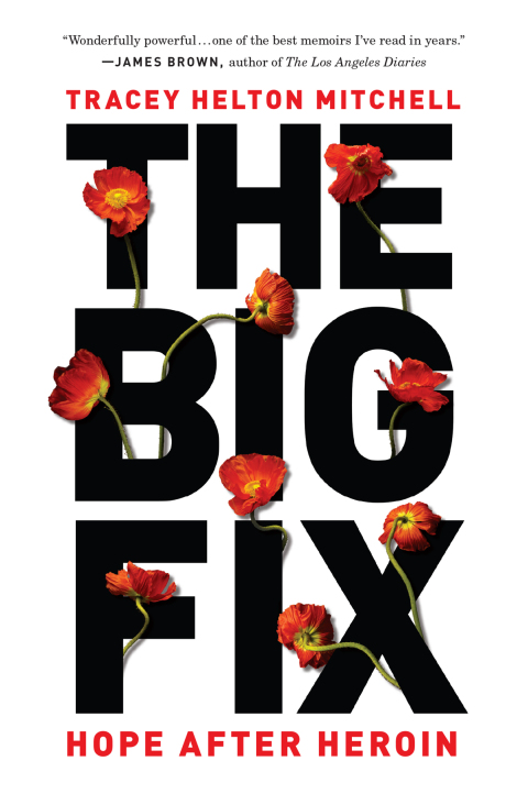 Cover image for book The Big Fix