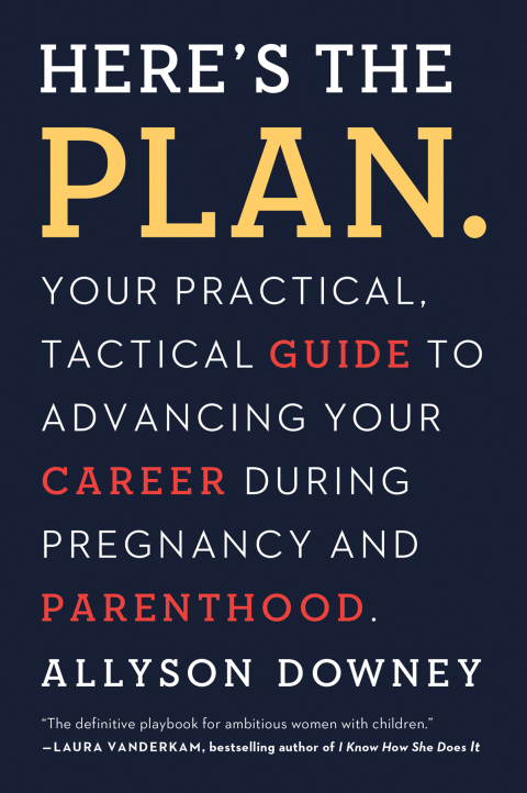 Cover image for book Here's the Plan.