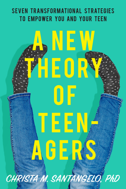 Cover image for book A New Theory of Teenagers