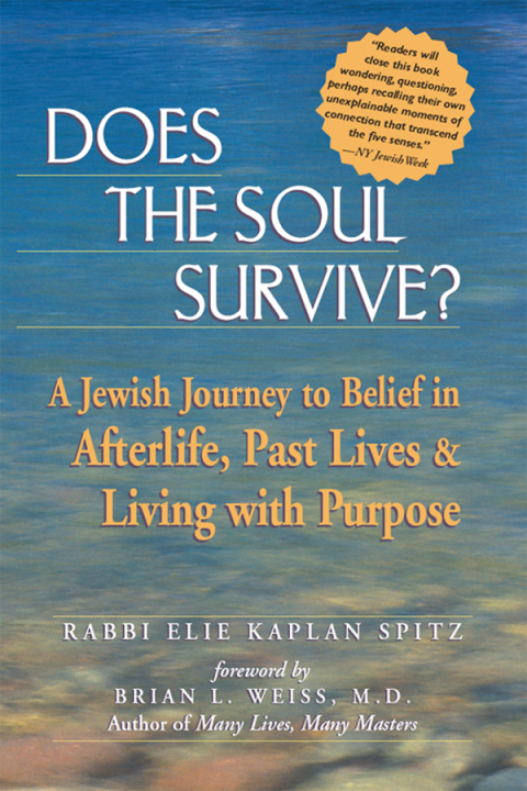 Cover image for book Does the Soul Survive?