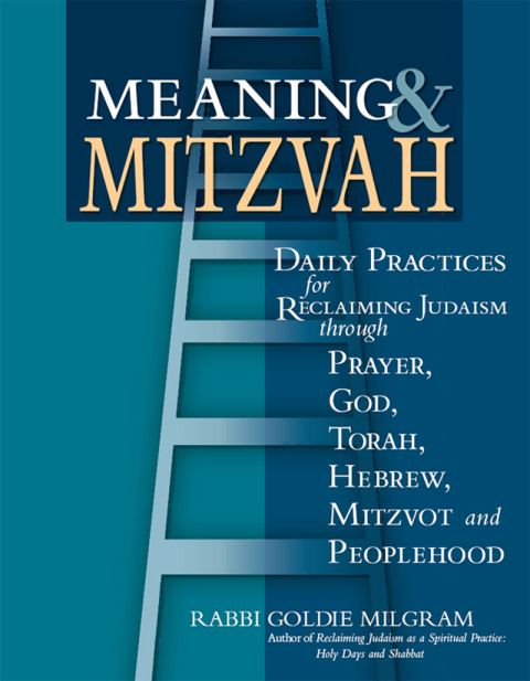 Cover image for book Meaning & Mitzvah