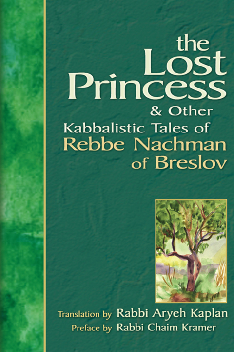 Cover image for book The Lost Princess