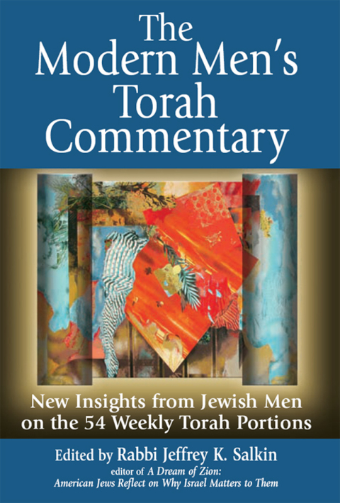 Cover image for book The Modern Men's Torah Commentary
