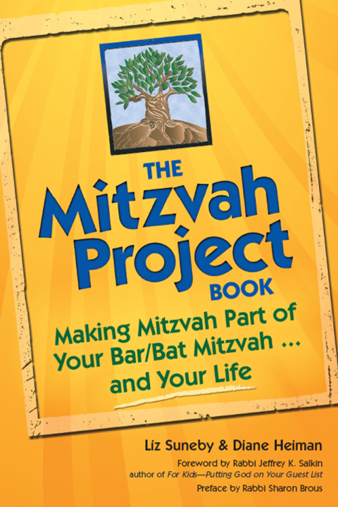 Cover image for book The Mitzvah Project Book
