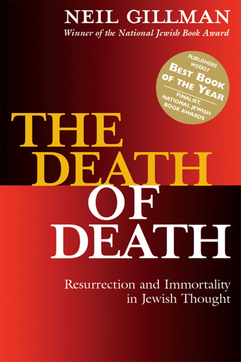 Cover image for book The Death of Death