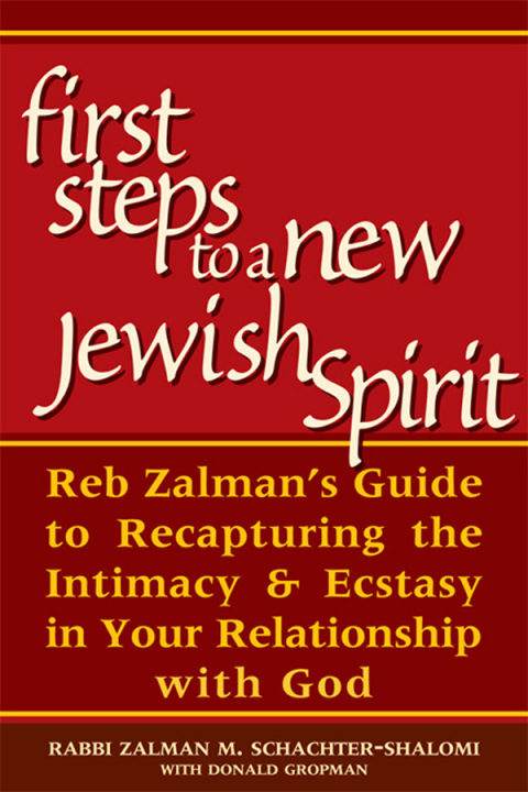 Cover image for book First Steps to a New Jewish Spirit