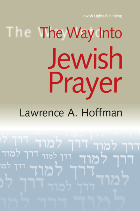 Cover image for book The Way Into Jewish Prayer