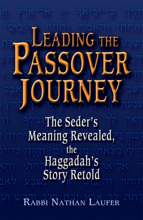 Cover image for book Leading the Passover Journey