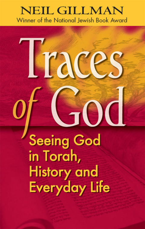 Cover image for book Traces of God
