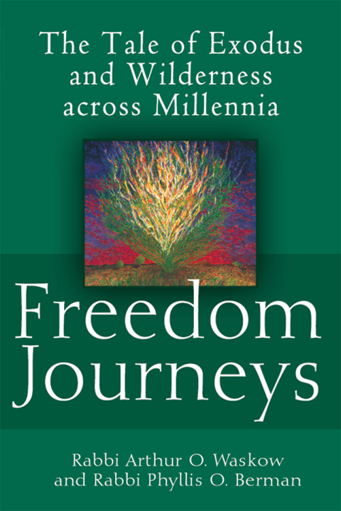 Cover image for book Freedom Journeys