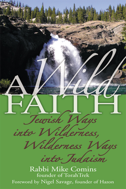 Cover image for book A Wild Faith