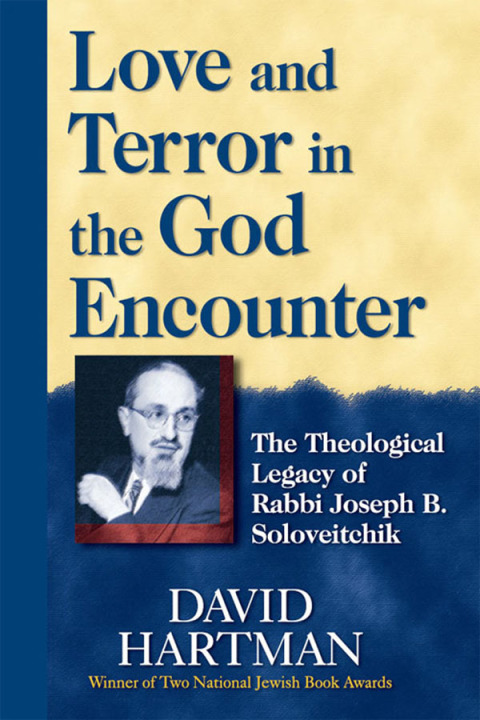 Cover image for book Love and Terror in the God Encounter