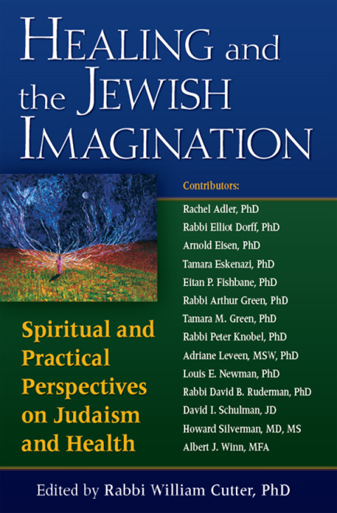 Cover image for book Healing and the Jewish Imagination