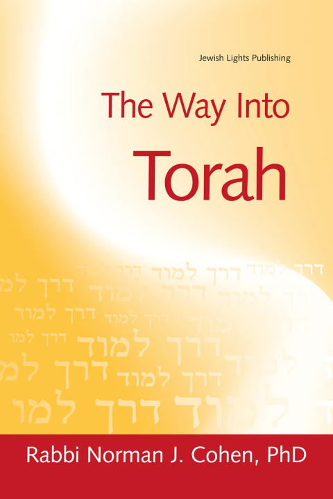 Cover image for book The Way Into Torah