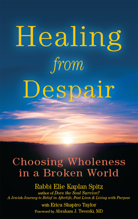 Cover image for book Healing from Despair