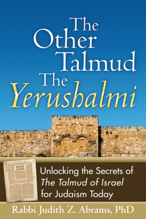 Cover image for book The Other Talmud—The Yerushalmi