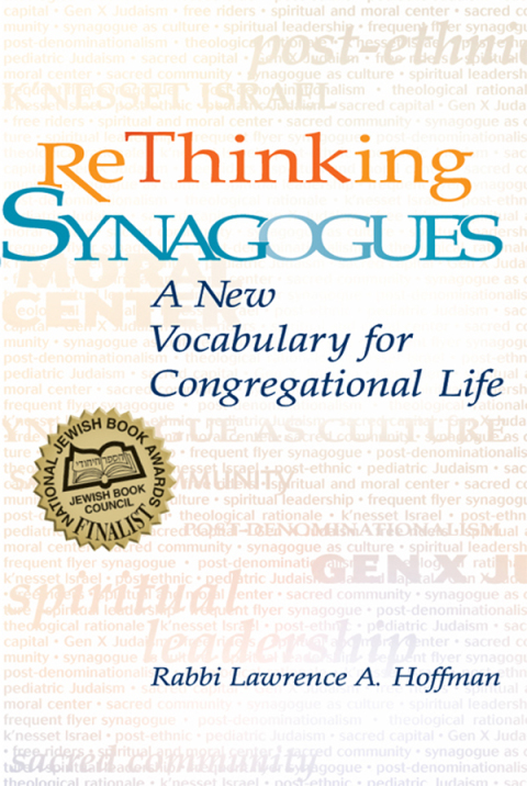 Cover image for book Rethinking Synagogues