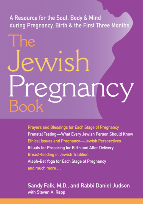 Cover image for book The Jewish Pregnancy Book