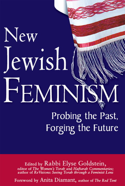 Cover image for book New Jewish Feminism