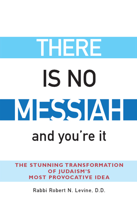 Cover image for book There Is No Messiah—and You're It