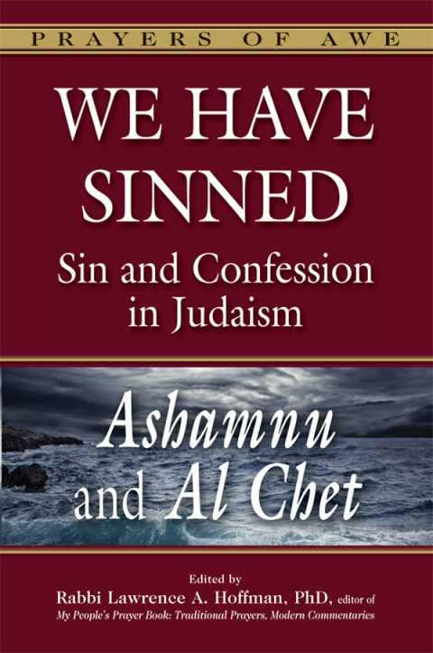 Cover image for book We Have Sinned