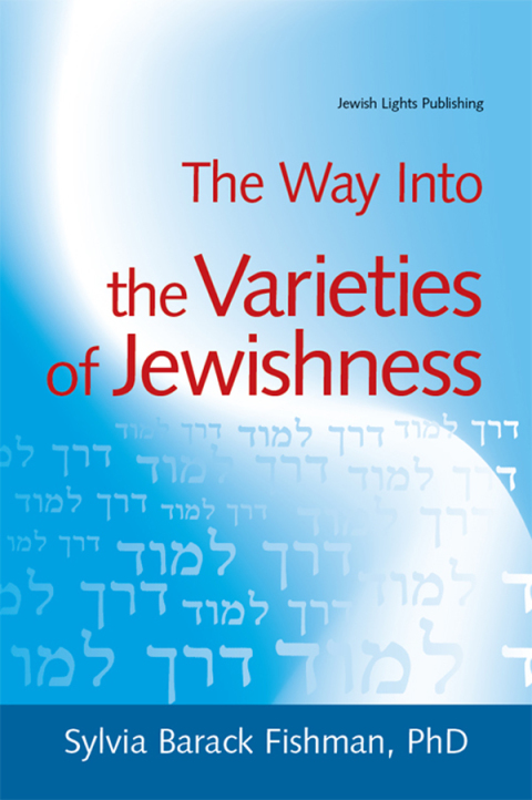 Cover image for book The Way Into the Varieties of Jewishness
