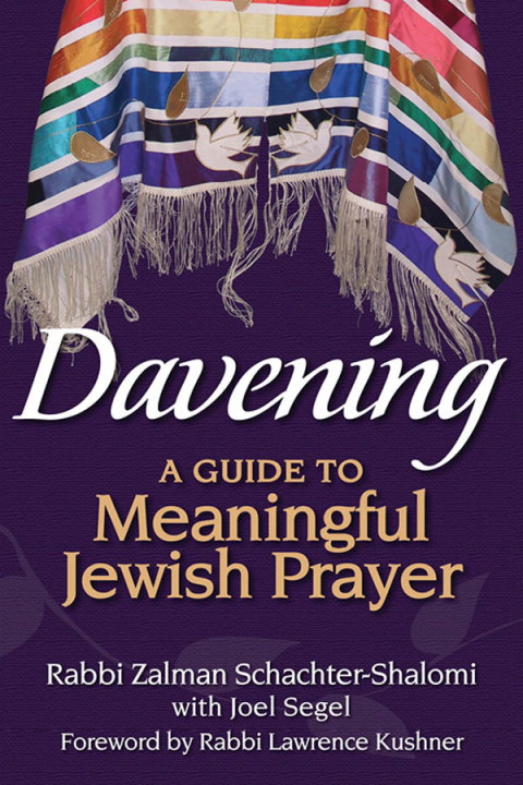 Cover image for book Davening
