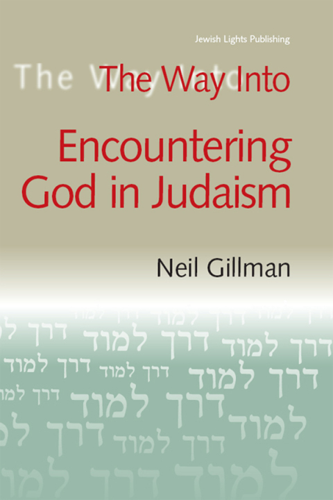 Cover image for book The Way Into Encountering God In Judaism