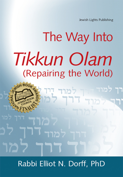 Cover image for book The Way Into Tikkun Olam (Repairing the World)
