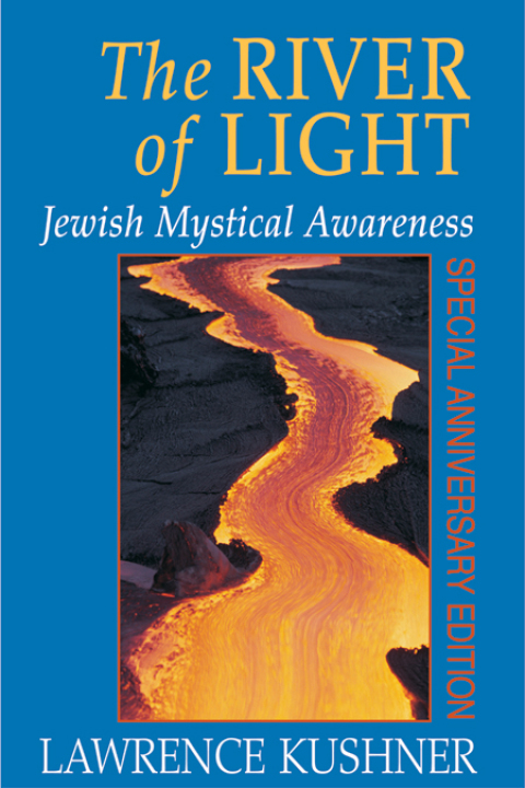 Cover image for book The River of Light