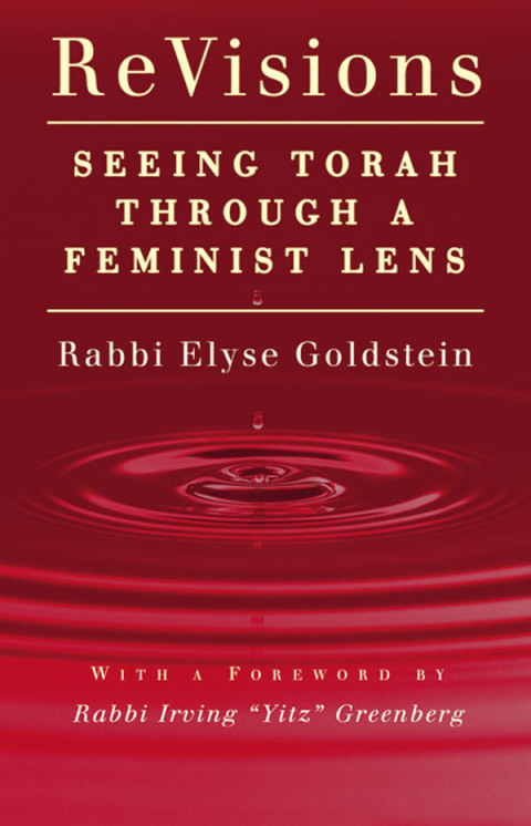Cover image for book ReVisions