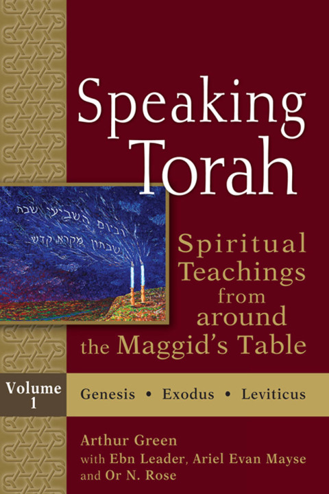 Cover image for book Speaking Torah Vol 1