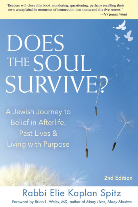 Cover image for book Does the Soul Survive? (2nd Edition)