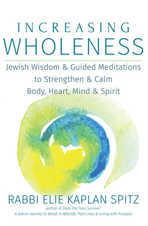 Cover image for book Increasing Wholeness