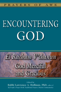 صورة الغلاف: Encountering God 1st edition 9781580238540
