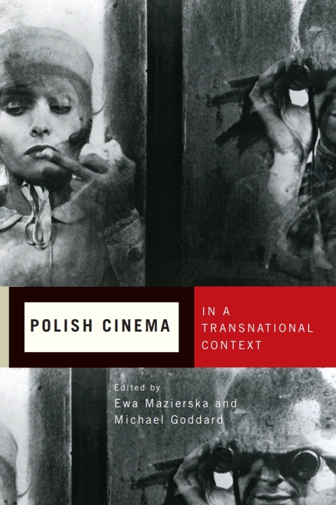 Polish Cinema in a Transnational Context 