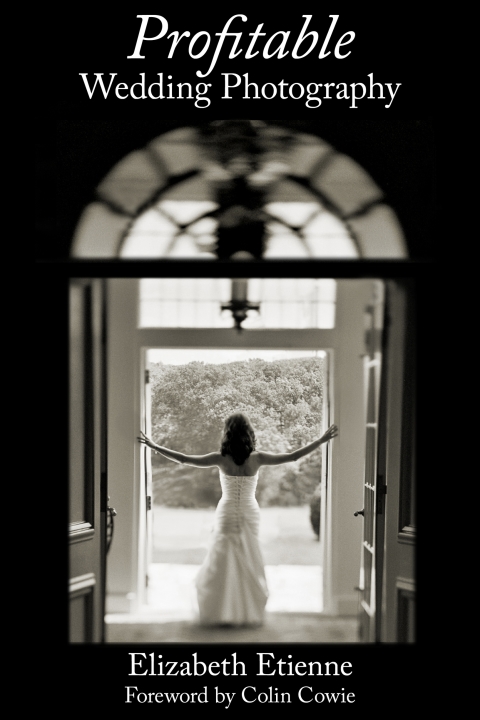 Cover image for book Profitable Wedding Photography