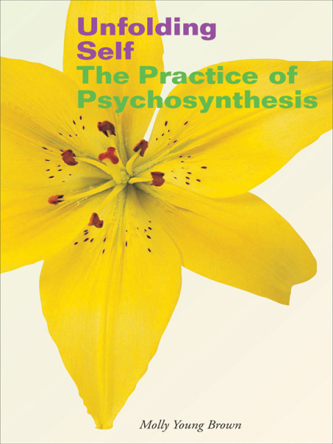 Cover image for book Unfolding Self