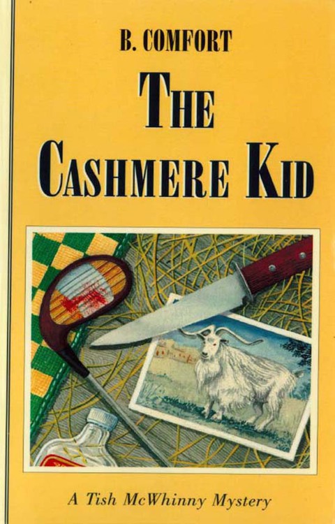 Cover image for book The Cashmere Kid