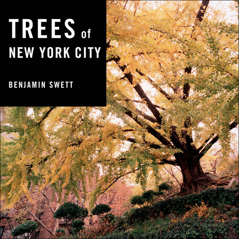Cover image for book Trees of New York City