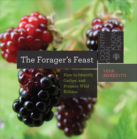 Cover image for book The Forager's Feast