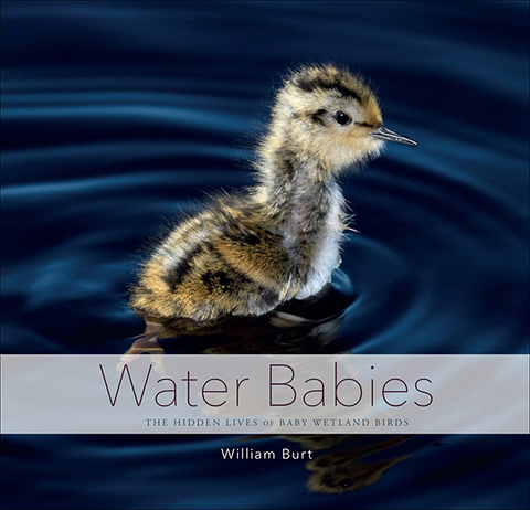 Cover image for book Water Babies