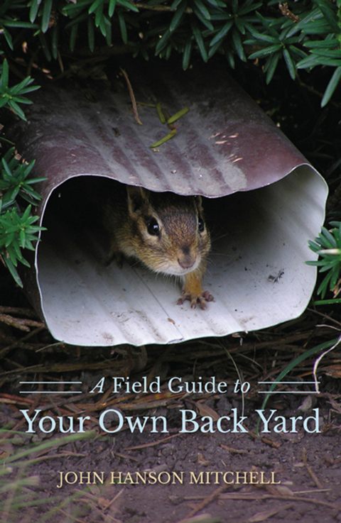 Cover image for book A Field Guide to Your Own Back Yard