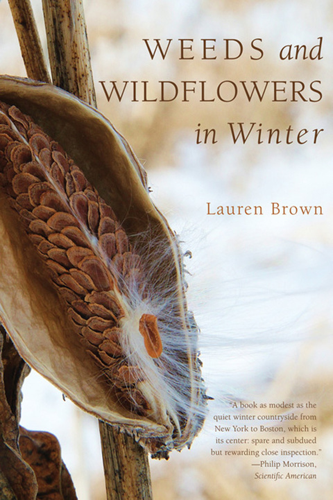 Cover image for book Weeds and Wildflowers in Winter
