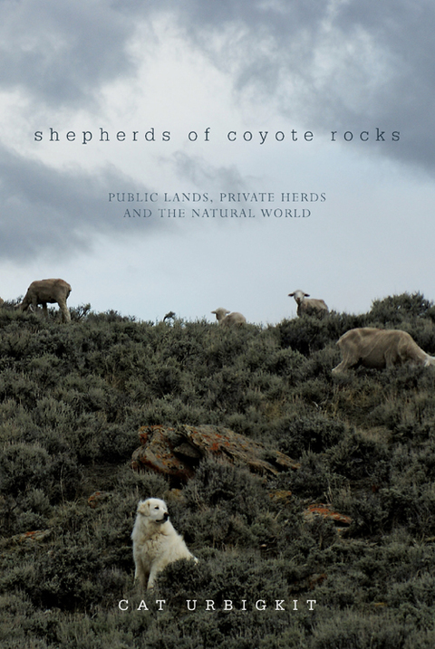Cover image for book Shepherds of Coyote Rocks