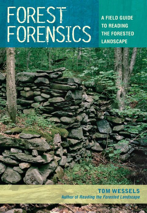 Cover image for book Forest Forensics