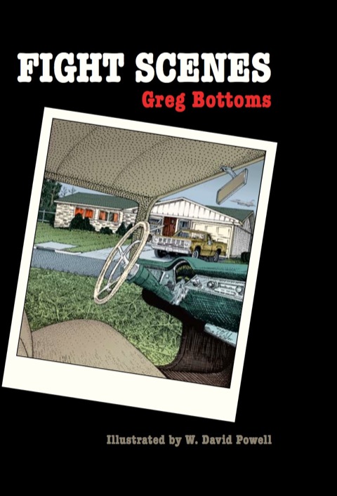 Cover image for book Fight Scenes