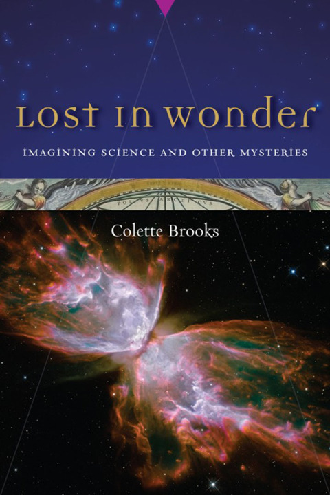 Cover image for book Lost in Wonder