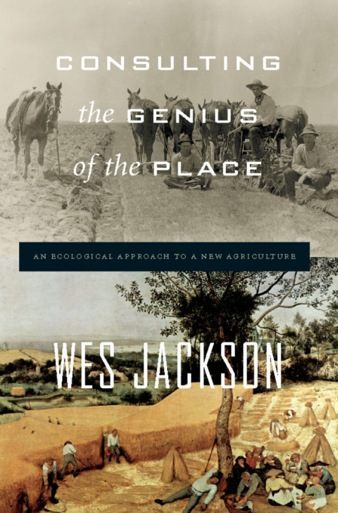 Cover image for book Consulting the Genius of the Place